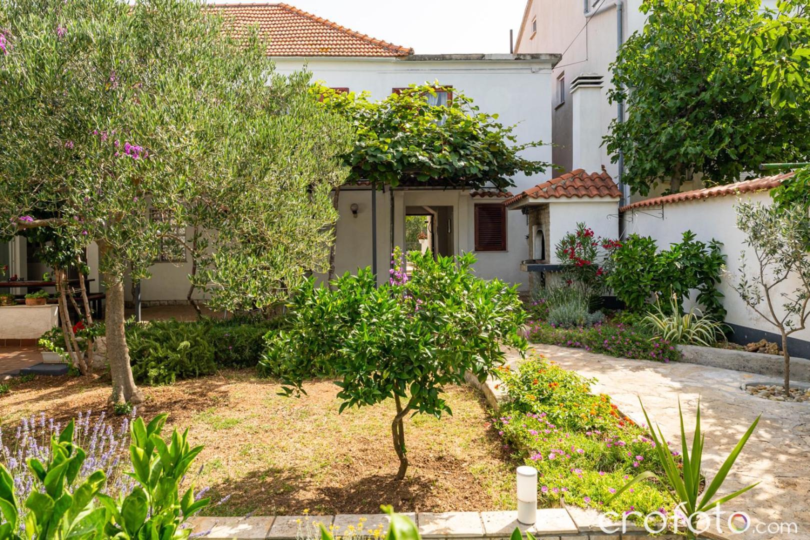 Vinka Apartment Biograd Na Moru Exterior photo